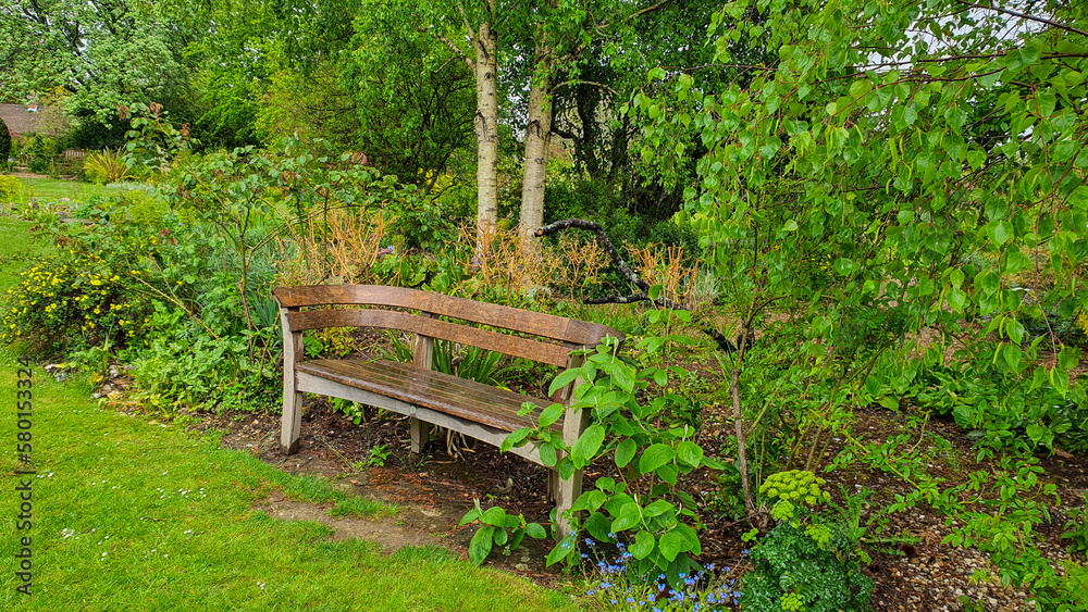 Bench in a lush green garden