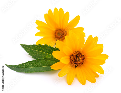 Fototapeta Naklejka Na Ścianę i Meble -  Two yellow flowers.