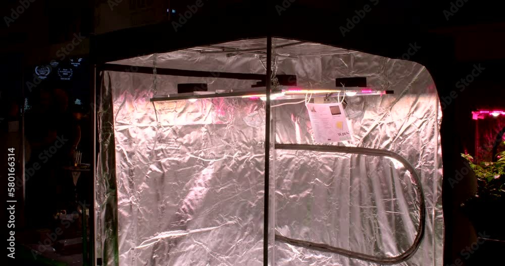 Grow box with purple LED. Cannabis tech to make growing weed easier. 5.11.2022 Beranovych 667, Prague, Czech Republic Grow box with purple LED. Cannabis tech to make growing weed easier. 5.11.2022 Beranovych 667, Prague, Czech Republic