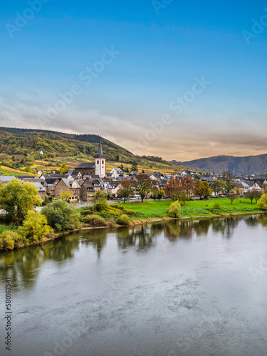 Bruttig-Fankel village on moselle river bank and colourful vineyards during autumn in Cochem-Zell, Germany