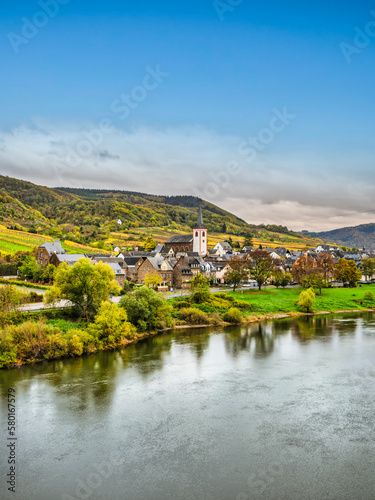 Bruttig-Fankel village on moselle river bank and colourful vineyards during autumn in Cochem-Zell, Germany