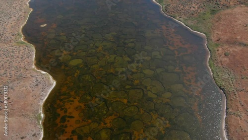Aerial view of Spotted Lake in Osoyoos British Columbia Okanagan Valley on Hot Summer Day