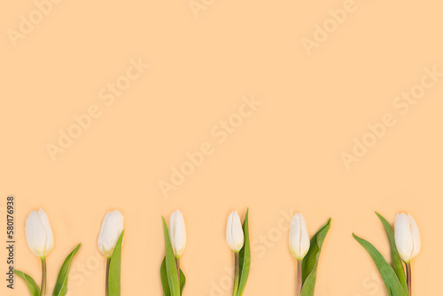 White tulips on neutral light background. Minimal flat lay concept.