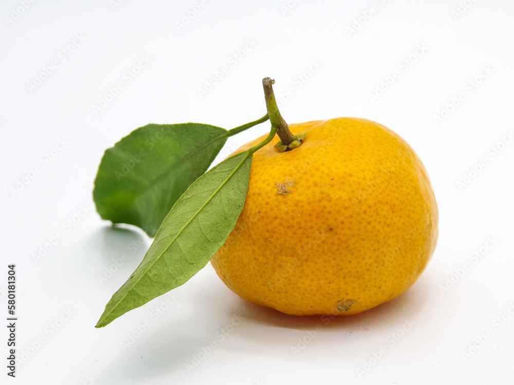 Orange fruit isolate. On white background 