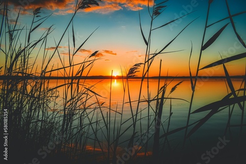 Fototapeta Naklejka Na Ścianę i Meble -  sunset on the lake