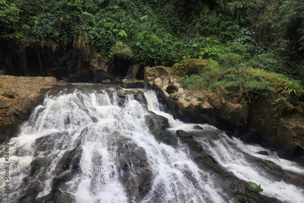 Fototapeta premium landscape waterfall in the jungle nature asia