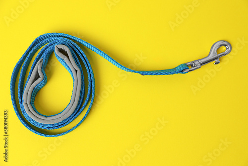 Blue dog leash on yellow background, top view
