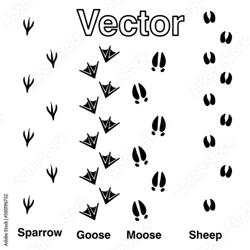 Tracks of wild animals and birds. Paw print. Isolated icons on white background.