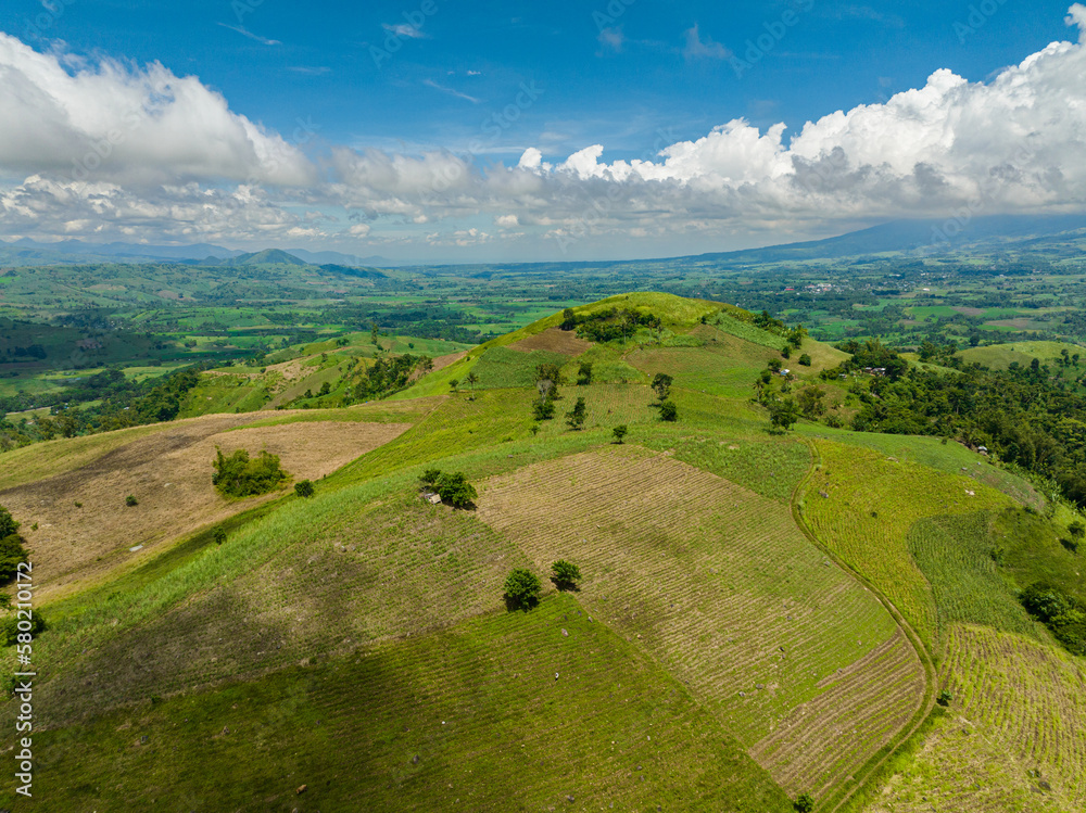 Obraz premium Top view of rice plantations and farmland of farmers in a mountain valley. Negros, Philippines