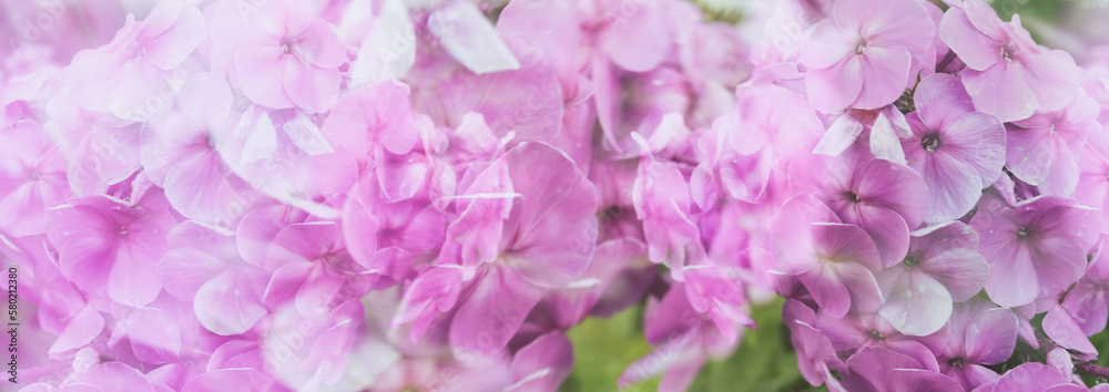 Lilac flowers wallpaper. Double exposure