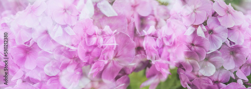 Lilac flowers wallpaper. Double exposure