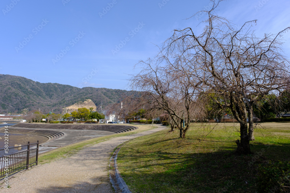 福井県敦賀市櫛川河川公園