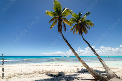 Tropical beach in caribbean sea  idyllic Saona island  Dominican Republic