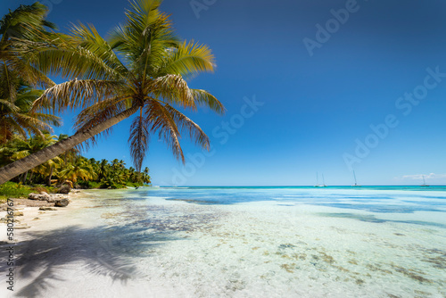 Boats and tropical beach in caribbean sea  Saona island  Dominican Republic