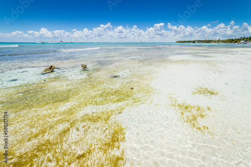 Tropical beach in caribbean sea, idyllic Saona island, Dominican Republic