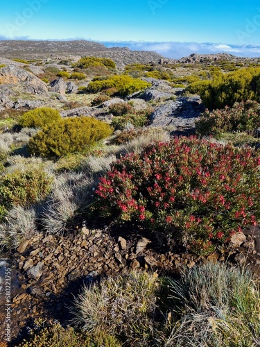 Ben Lomond mountain national park in Tasmania on the sunny day photo