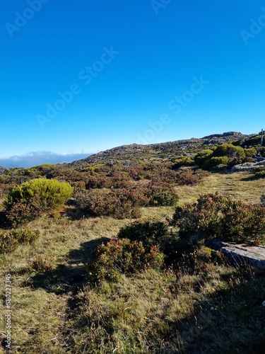 Wallpaper Mural Ben Lomond mountain national park in Tasmania on the sunny day Torontodigital.ca
