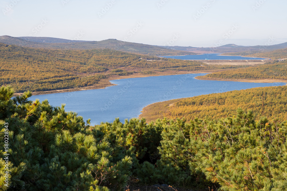 Autumn landscape. View from the hill to the reservoir on the river in a mountain valley. In the foreground, thickets of Siberian dwarf pine. Magadan region, Siberia, Far East of Russia. Autumn landscape. View from the hill to the reservoir on the river in a mountain valley. In the foreground, thickets of Siberian dwarf pine. Magadan region, Siberia, Far East of Russia.