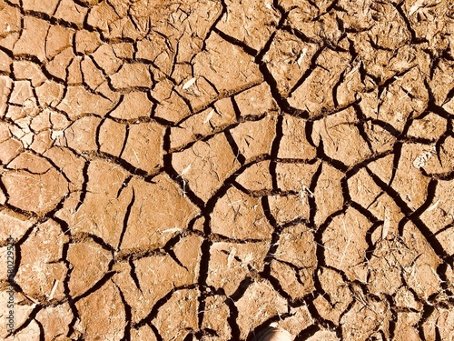 Konstfotografi cracked dry earth background