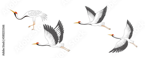 Chinese Style Vector Illustration of Four Cranes