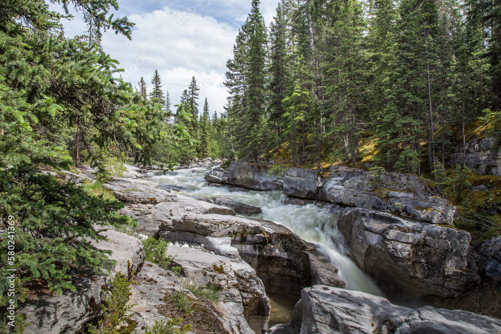Scenic view of river flowing amidst rocks in forest at Jasper National Park Scenic view of river flowing amidst rocks in forest at Jasper National Park