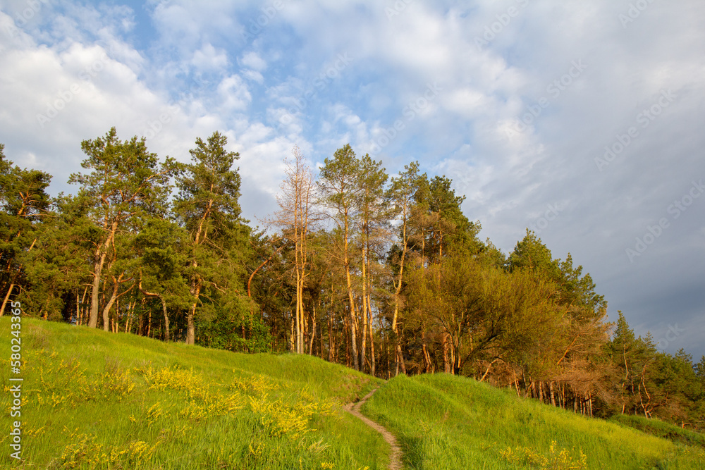 Landscape with trees and sky