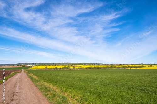 Dirt road in a agricultural landscape view