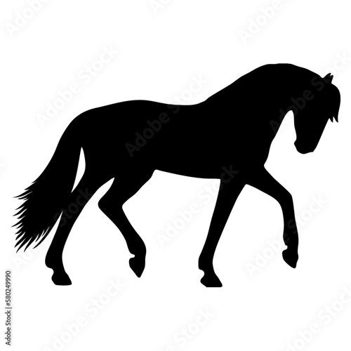 silhouette of a horse