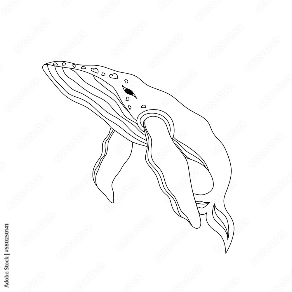 whale in a minimalist style in outline on a transparent background. Isolated. Design element. whale in a minimalist style in outline on a transparent background. Isolated. Design element.