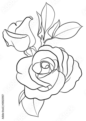 Rose flower outline illustration