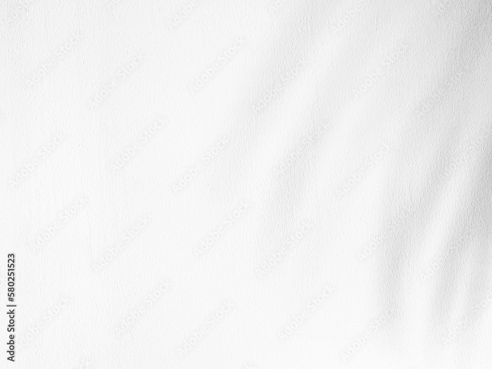 Shadows from palm or coconut leaves On the concrete wall painted white above. Abstract background and copy space. Empty. Shadows from palm or coconut leaves On the concrete wall painted white above. Abstract background and copy space. Empty.