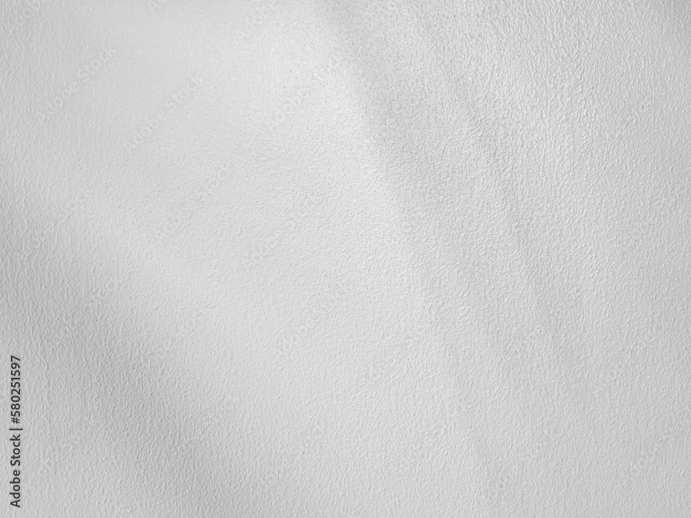 Shadows from palm or coconut leaves On the concrete wall painted white above. Abstract background and copy space. Empty.