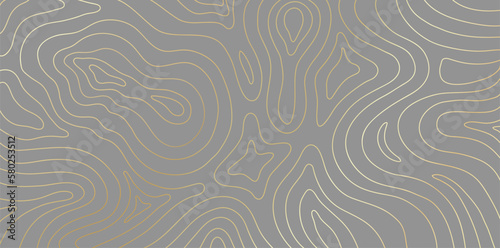 Abstract topographic map background with golden lines, Grey background and mountain gold countours. Geographic grid map vector