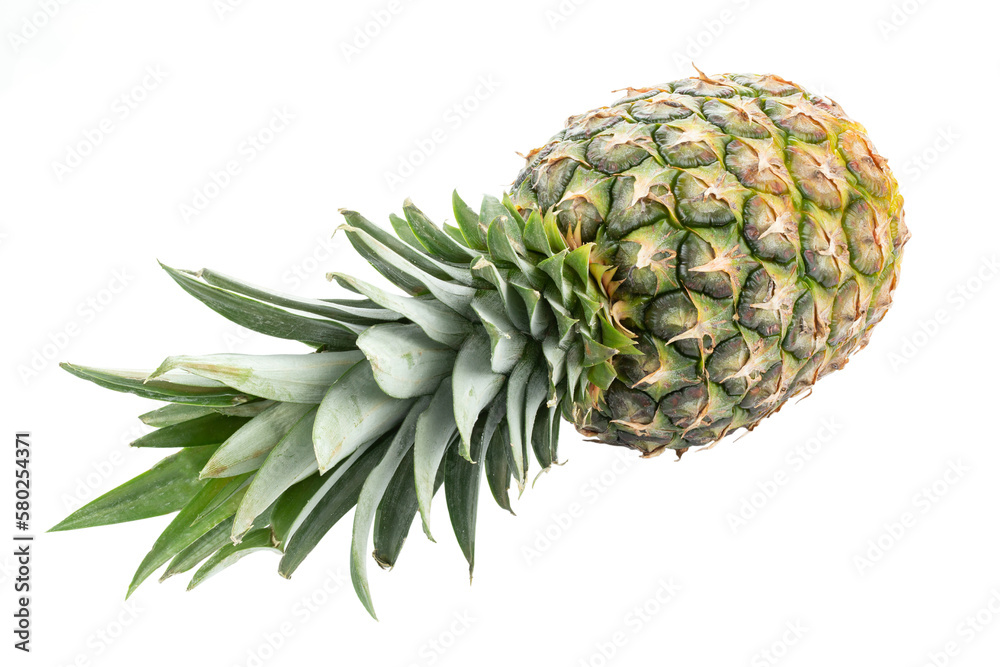 Fresh whole pineapple isolated on white background. Fresh whole pineapple isolated on white background.