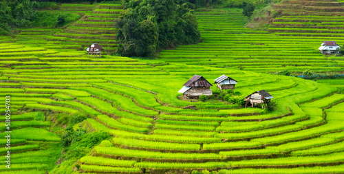 rice terace culture in north province in thailand