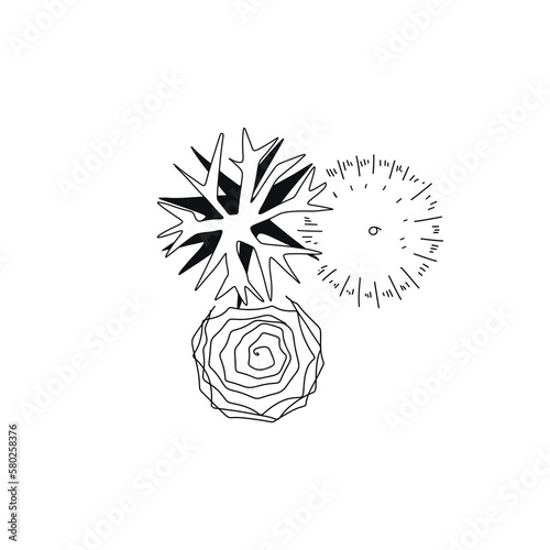 Landscape trees in terms of graphics hand drawn architectural design of the site decoration shrubs sketchy set large on a white background black and white doodle sketch