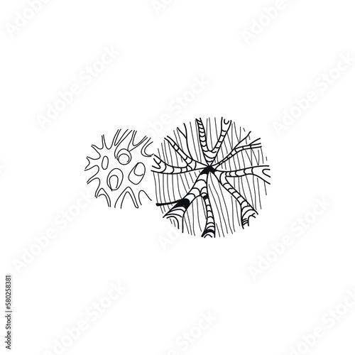 Landscape trees in terms of graphics hand drawn architectural design of the site decoration shrubs sketchy set large on a white background black and white doodle sketch