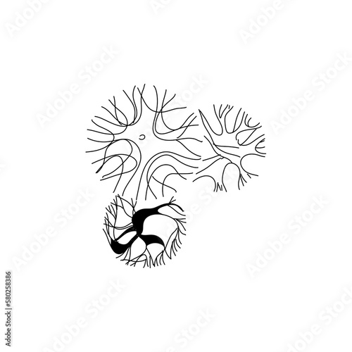 Landscape trees in terms of graphics hand drawn architectural design of the site decoration shrubs sketchy set large on a white background black and white doodle sketch