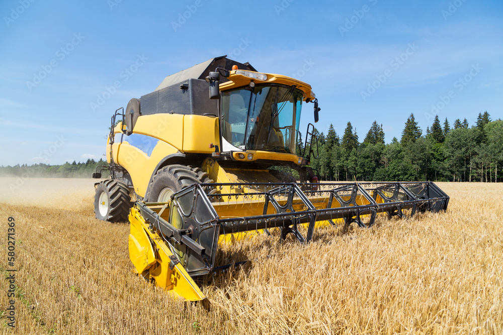 Obraz premium Harvesting with combines