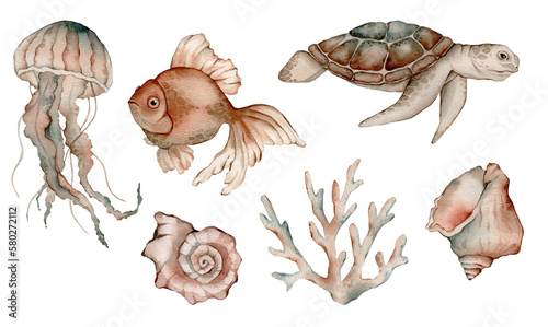 Set of sea animals poster. Blue, greeen, brown watercolor ocean jellyfish, medusa, fish aquarium, shell, coral. Nautical wildlife marine illustration photo