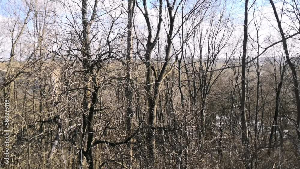 Natural picturesque winter forest. Bare trees in the city park. Nature wakes up in spring. Natural picturesque winter forest. Bare trees in the city park. Nature wakes up in spring.