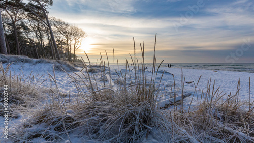 Schnee am Dar  er Weststrand.