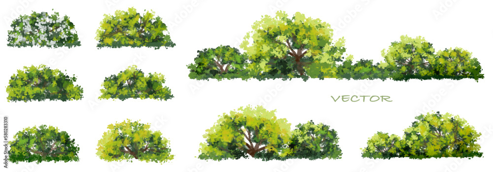 Vector watercolor of green grass side view isolated on white background for landscape and architecture drawing, elements for environment and garden, painting botanical for exterior section - obrazy, fototapety, plakaty 