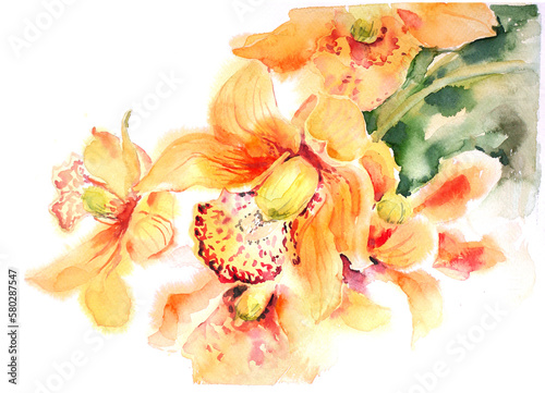 Watercolor yellow orange orchid illustration.