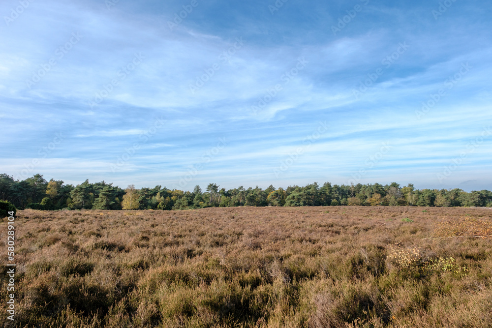 Nature reserve Sallandse Heuvelrug Nature reserve Sallandse Heuvelrug