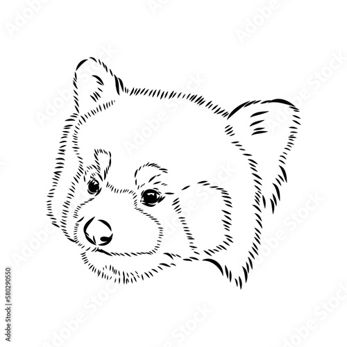 Cute red panda. Cartoon animal design. Vector illustration isolated on white background. Red panda label. Black and white linear paint drawn. Tattoo design.
