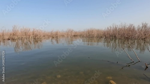 An wild beach in the Sea of Galilee near Tiberias 