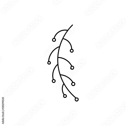 Linear botanical willow twig in doodle style