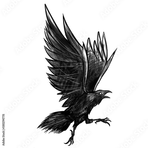 Ilustración cuervo tipo sketch por Guillermo Riaño Fidalgo el 14 de febrero de 2022 photo