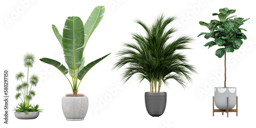 Beautiful plants in ceramic pots isolated on transparent background